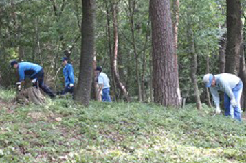 金山赤松林の保全活動