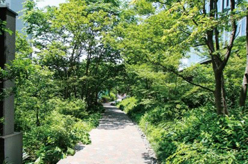 ThinkPark Forest