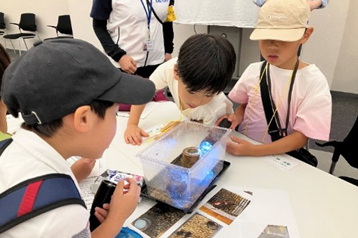 大崎の森 自然かんさつ会