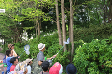 Osaki-no-Mori Nature Observation Events