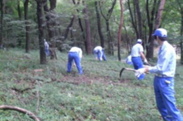 金山赤松林の保全活動