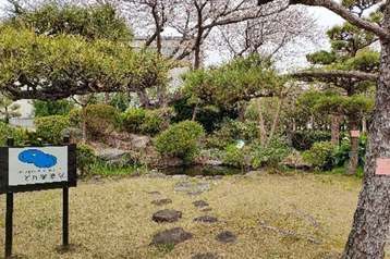 ビオトープ整備