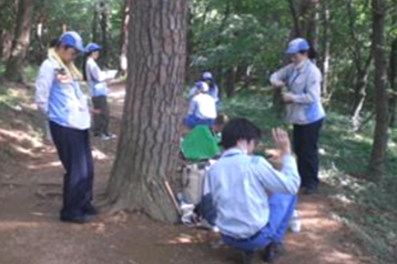 金山赤松林の保全活動