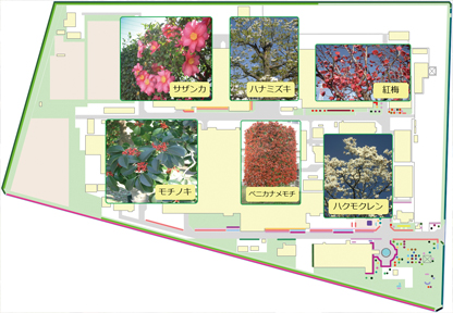 太田事業所緑地マップ